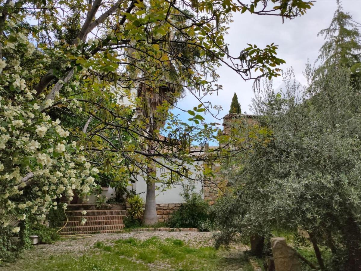 Casa Palacio El Caballero De Malta Úbeda Екстериор снимка